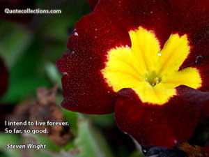steven_wright_quotes Quotes 6